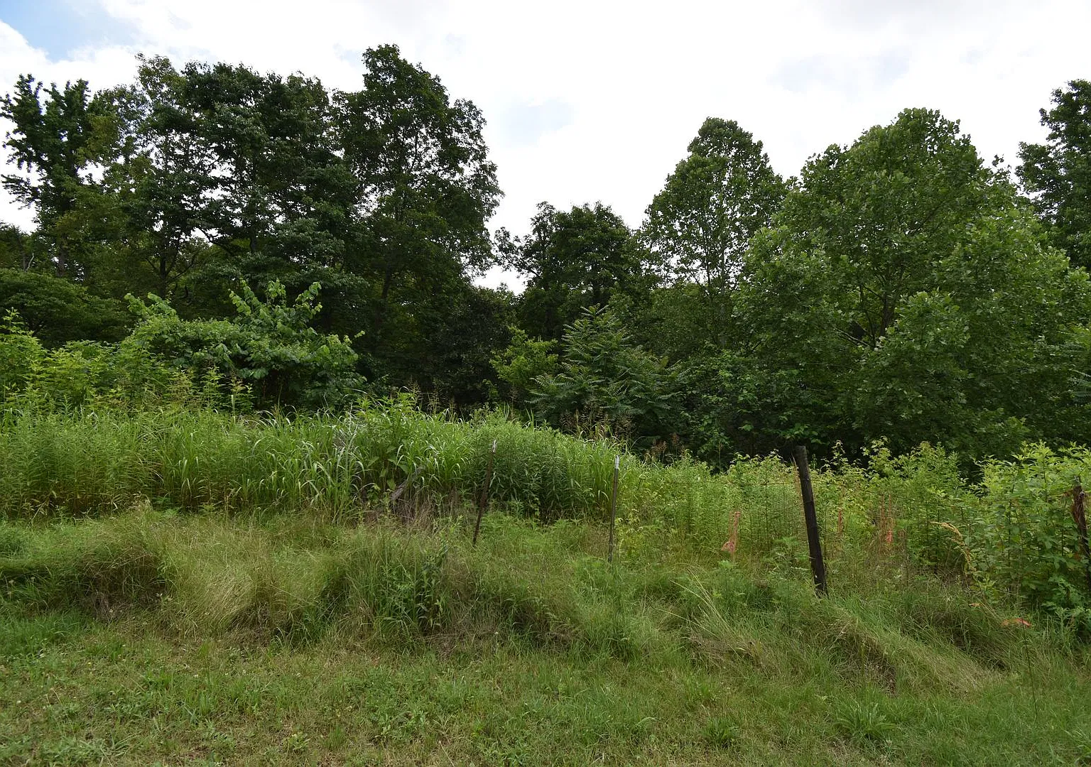 4 Bedroom 2 Bath Pet Friendly Home For Rent! — Photo 4