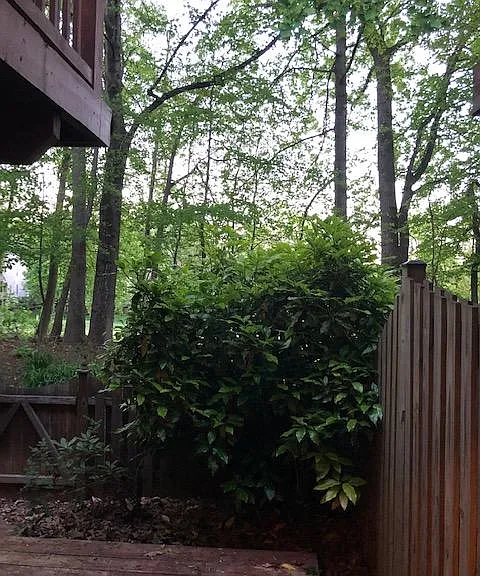 12016 Johns Pl — Photo 23