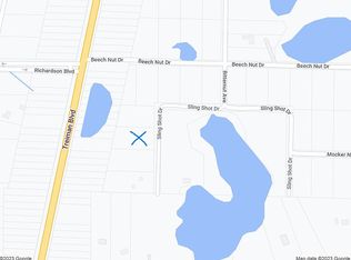 Slingshot Dr, Webster, FL 33597