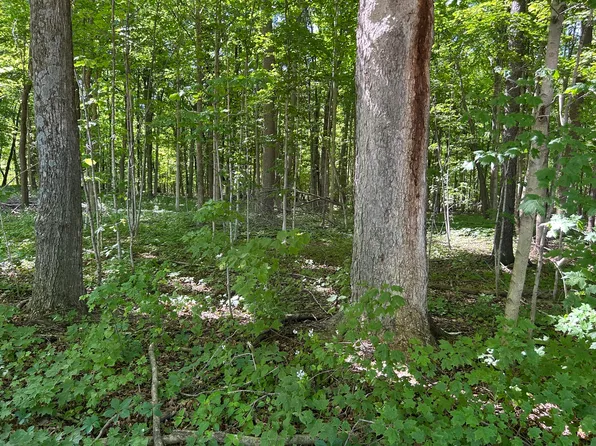 Lindley Rd, Coldwater, MI 49036