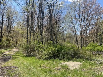 14 Avenue, Grand Junction, MI, 49056