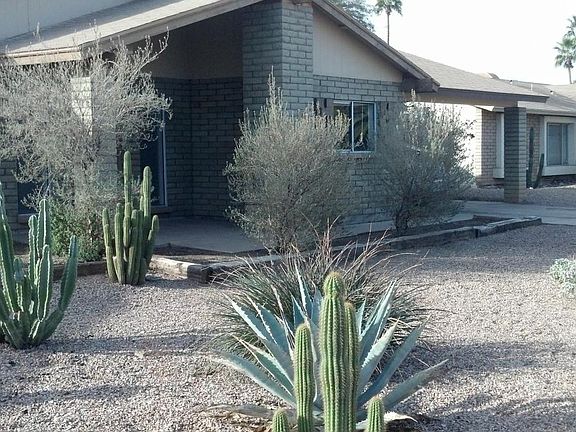 Front yard