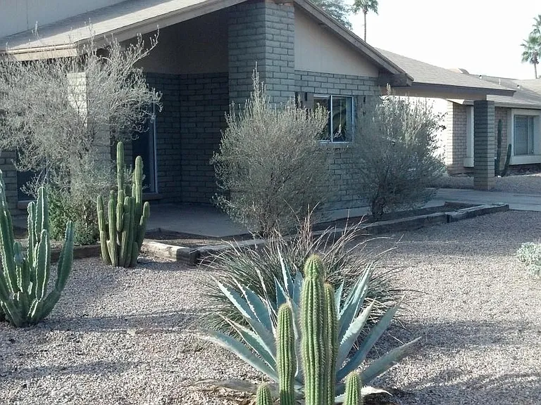 Front yard