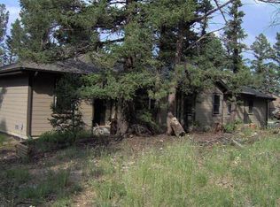 1374 Pitchfork Rd, Hartsel, CO 80449