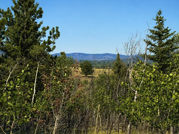 250 Pinto Trail, Como, CO 80432