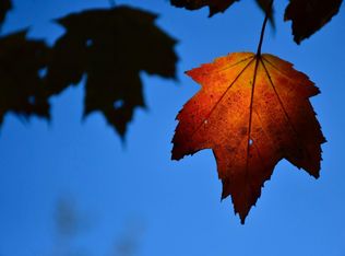 N 3rd St, Kalamazoo, MI 49009