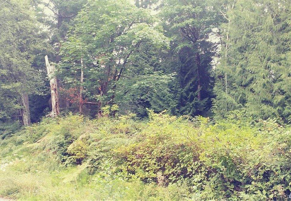 2nd image of 0 SE Menzies Rd