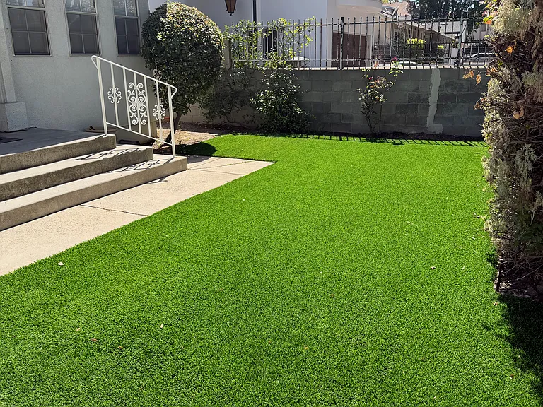 Front lawn