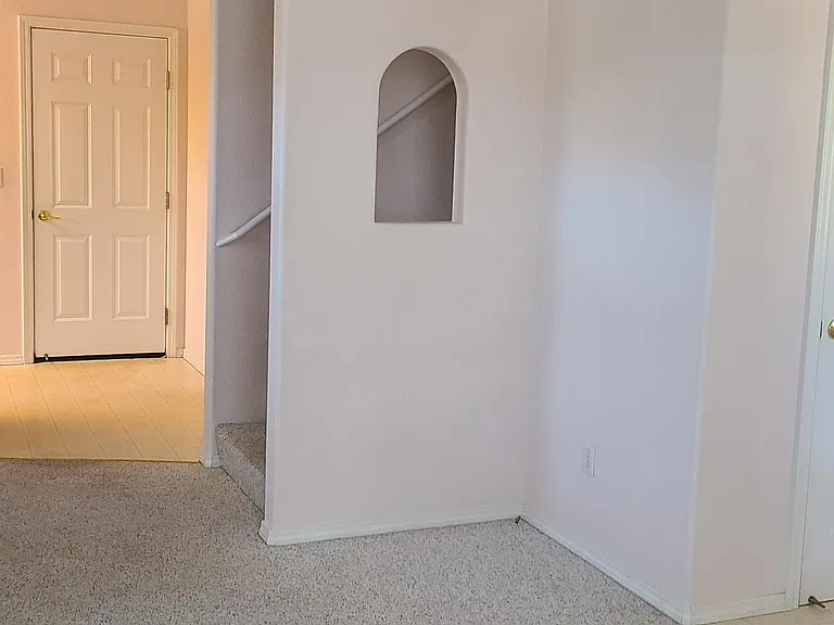 508 Starflower Ln — Photo 9