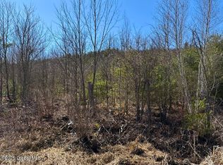 L37100 Moss Rd, Lewis, NY 12950