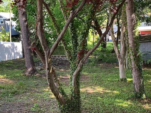 75 Hamilton Ave — Photo 3