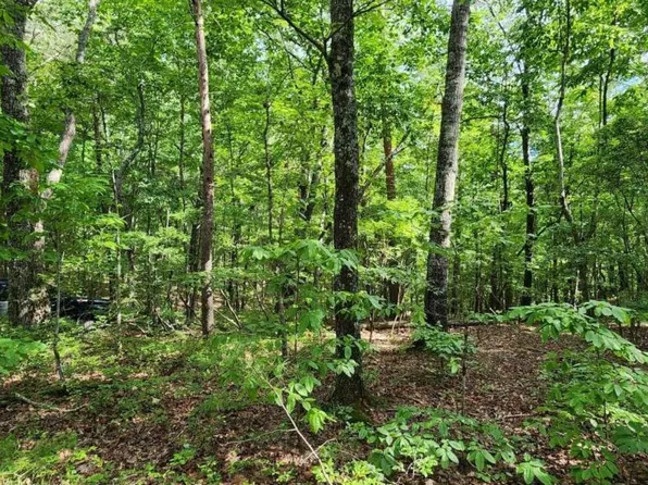 0 High Country Rd, Talking Rock, GA 30175