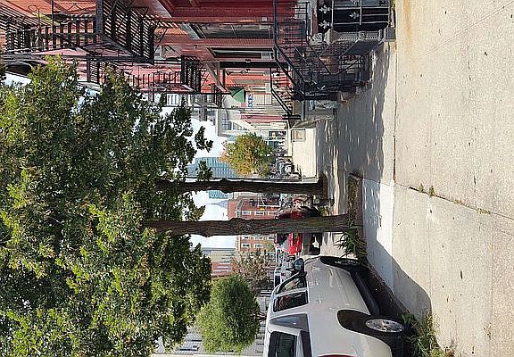 2nd image of 1127 47th Ave APT 1r