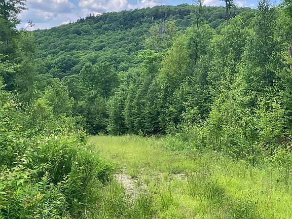 5th image of Lot 2&3 Washburn/Meridan Hill Road