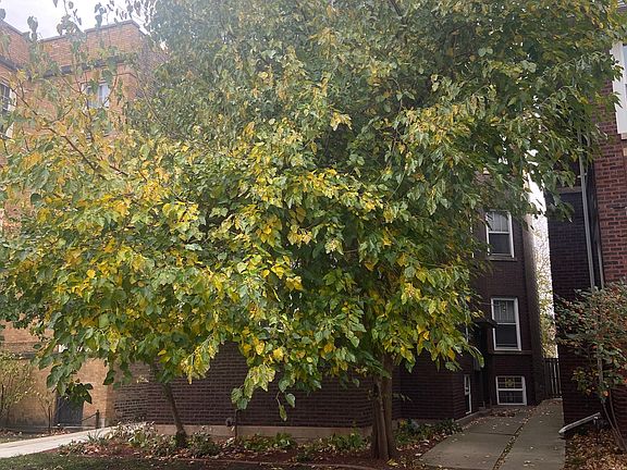 2nd image of 4844 N Washtenaw Ave #G