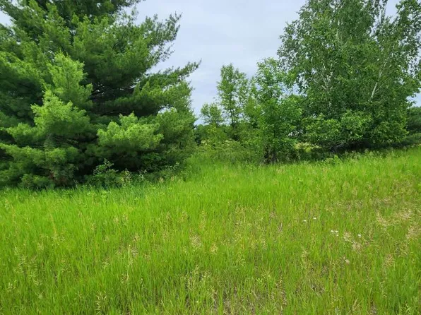 0 392nd St, Browerville, MN 56438