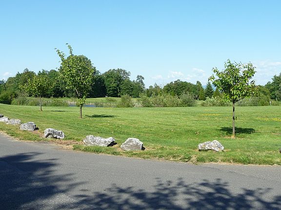 Dog friendly riverside park