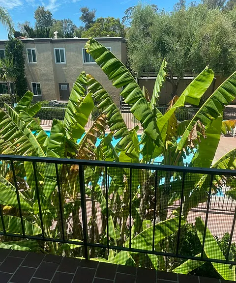 La Barcelona — Photo 1