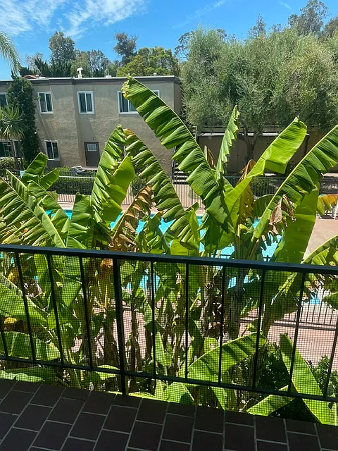 La Barcelona