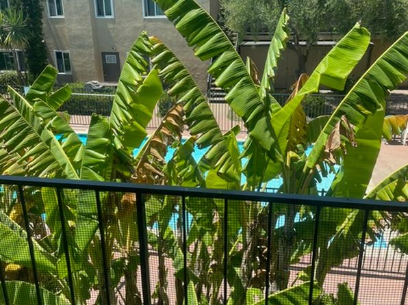 10939 Del Norte St APT 212