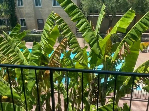 La Barcelona, 10939 Del Norte St APT 212, Ventura, CA 93004