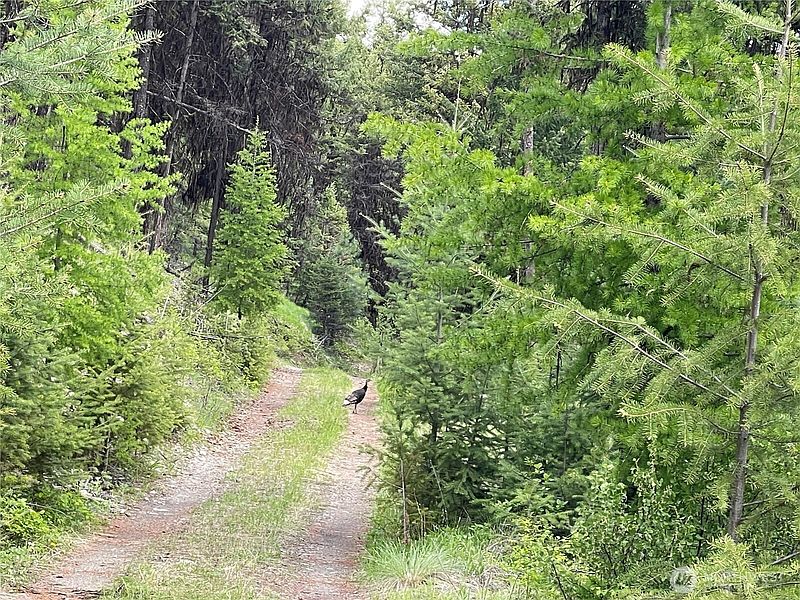 3rd image of 111 TBD Sunrise Rd