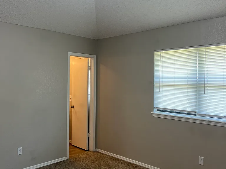 8113 Cinnamon Teal Dr — Photo 14