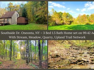 448 Southside Dr, Oneonta, NY 13820