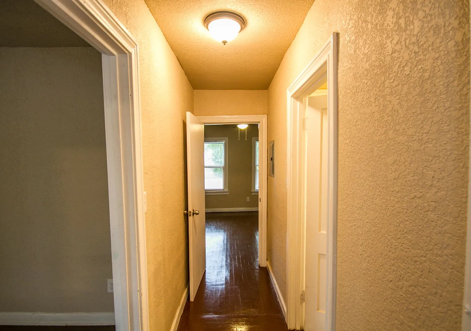 930 Poinsettia — Photo 2