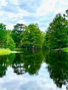 2642 Francis Marion Blvd, Summerton, SC, 29148