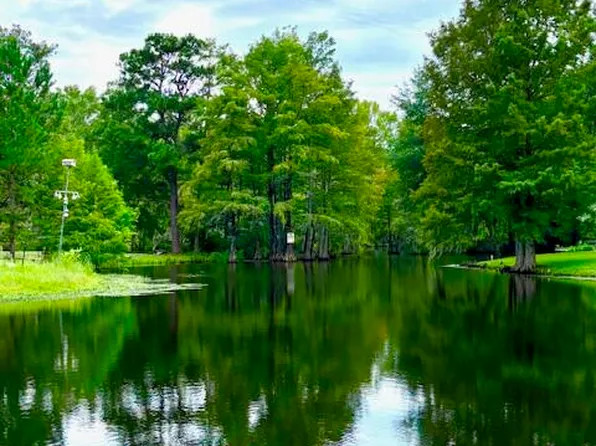 2642 Francis Marion Blvd, Summerton, SC 29148