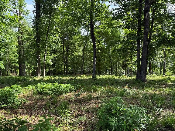 5th image of LOT 3 Lakeshore Dr