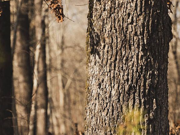 3rd image of 0 Salting Ground Rd