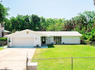 223 Clark Pl, Port Orange, FL 32127