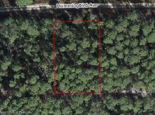 525 Hummingbird Ave, Sebring, FL 33872