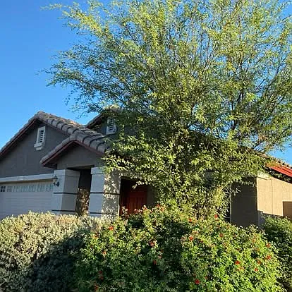 4 bed, 1467 sqft, $1,800 — Photo 3