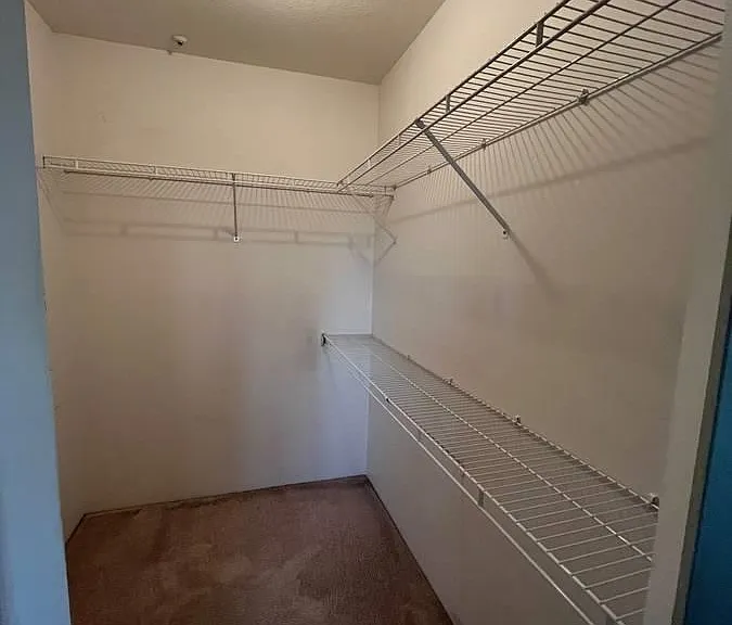 11595 Fraser St — Photo 5
