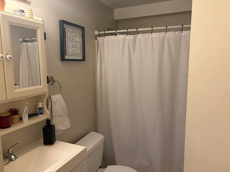 206 White Cedar Blvd — Photo 7