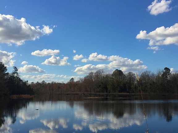 Lower Pond from Bridge