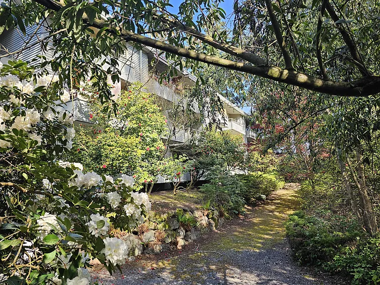 Tanglewood — Photo 7