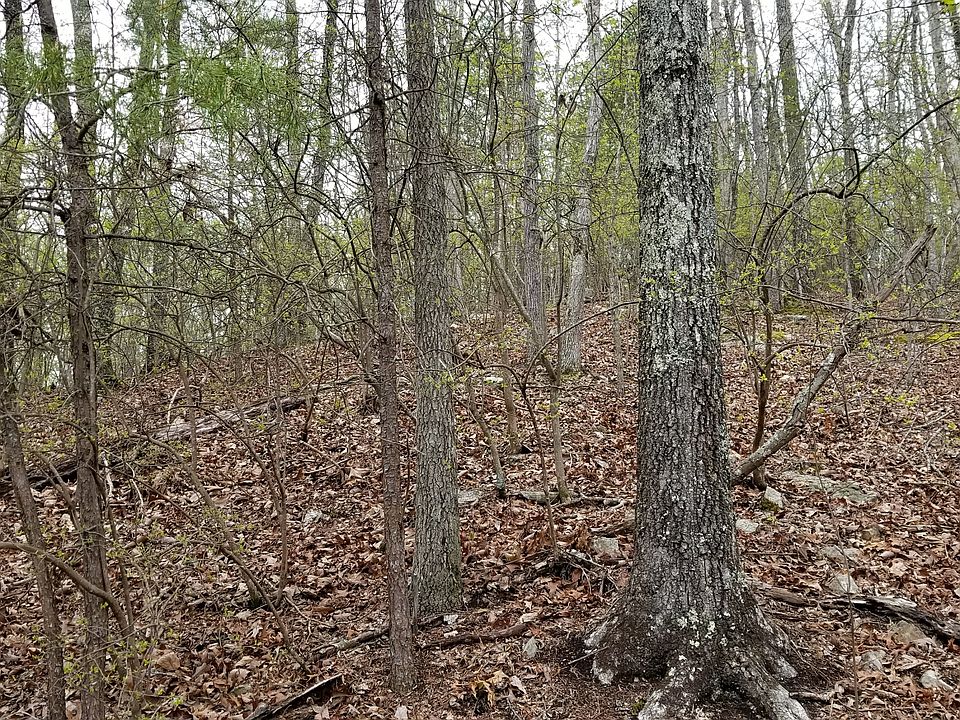 2nd image of 149 Black Hawk Dr
