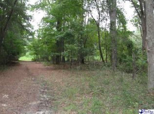 Coxe Rd E, Blenheim, SC 29516