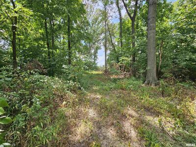 0 N Cash Ln, Waltonville, IL, 62894