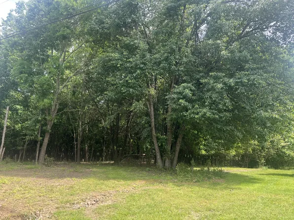 207 Hill St, Estill Springs, TN 37330