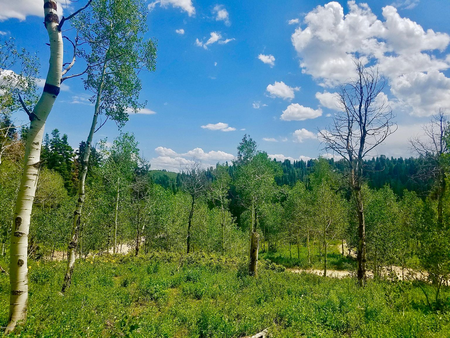 1660 Elk Rd, Wanship, UT 84017 Zillow