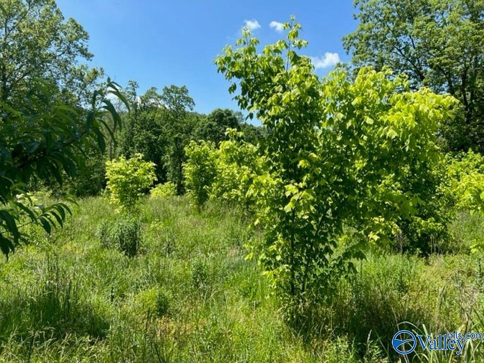 1st image of 1705 County Road 200
