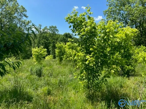 1705 County Road 200, Danville, AL 35619