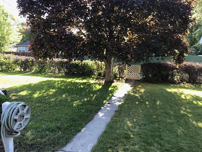 2327 Spruce St — Photo 2