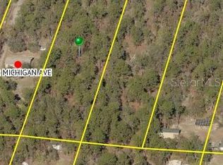 9031 Michigan Ave, Weeki Wachee, FL 34613