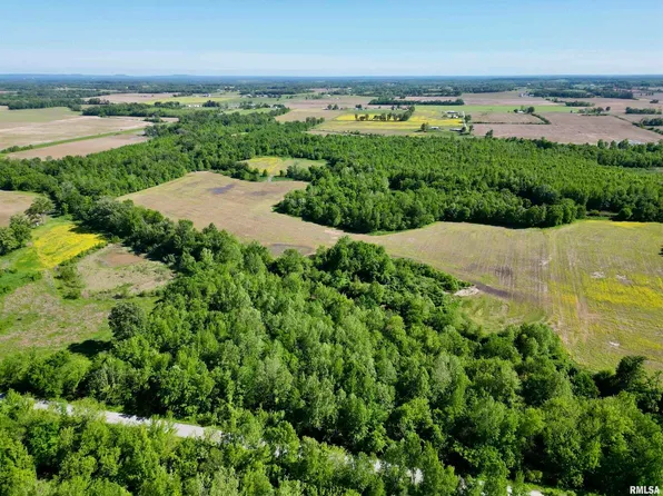 0 Netty Green Rd, Galatia, IL 62935